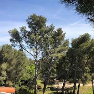 T3 Avec Grande Terrasse Et Jardin Sur Les Hauteurs De Martigues